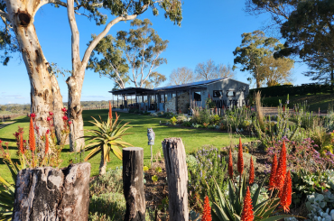 Simon Tolley Wines Hero